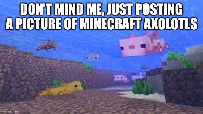 DON’T MIND ME, JUST POSTING A PICTURE OF MINECRAFT AXOLOTLS | made w/ Imgflip meme maker