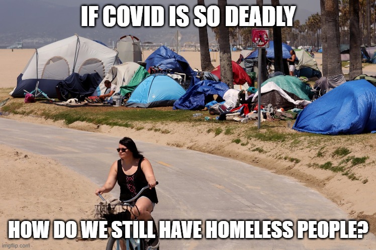 If covid is so deadly | IF COVID IS SO DEADLY; HOW DO WE STILL HAVE HOMELESS PEOPLE? | image tagged in covid,covidiots | made w/ Imgflip meme maker
