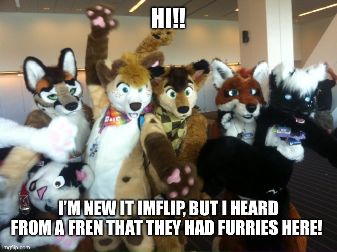 Basically, this is my new home | HI!! I’M NEW IT IMFLIP, BUT I HEARD FROM A FREN THAT THEY HAD FURRIES HERE! | image tagged in furries | made w/ Imgflip meme maker