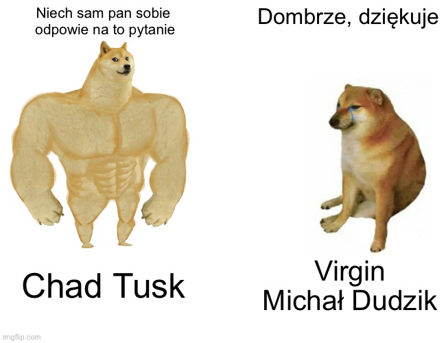 Buff Doge vs. Cheems Meme | Niech sam pan sobie 
odpowie na to pytanie; Dombrze, dziękuje; Chad Tusk; Virgin Michał Dudzik | image tagged in memes,buff doge vs cheems | made w/ Imgflip meme maker