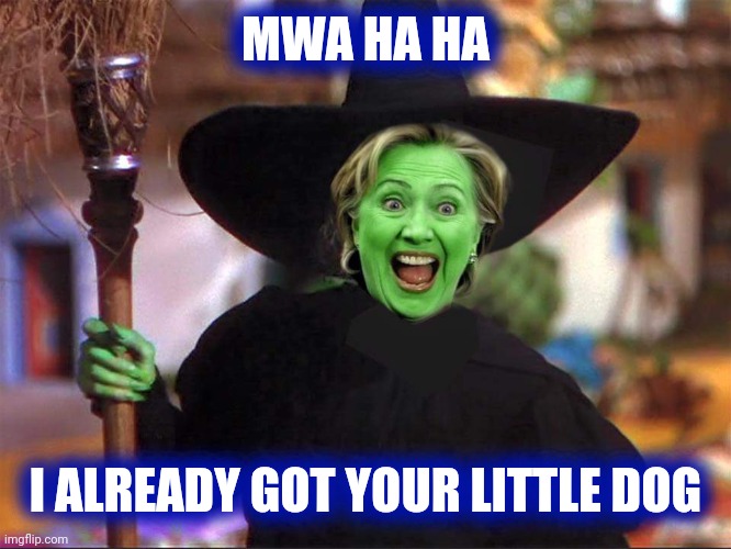 Hillary witch | MWA HA HA I ALREADY GOT YOUR LITTLE DOG | image tagged in hillary witch | made w/ Imgflip meme maker