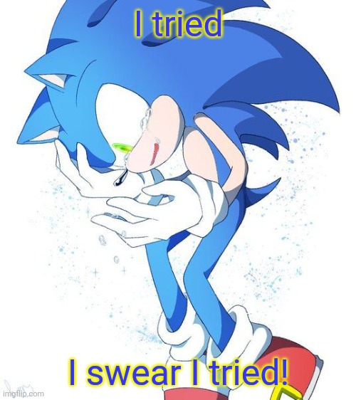 Sad Sonic | I tried I swear I tried! | image tagged in sad sonic | made w/ Imgflip meme maker