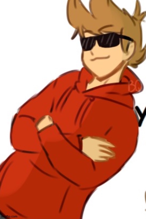 Tord | image tagged in tord | made w/ Imgflip meme maker