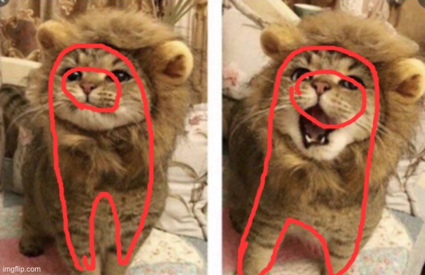 Very cute | image tagged in very cute | made w/ Imgflip meme maker