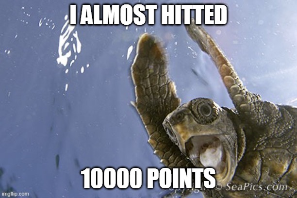yAy | I ALMOST HITTED; 10000 POINTS | image tagged in woohoo turtle | made w/ Imgflip meme maker