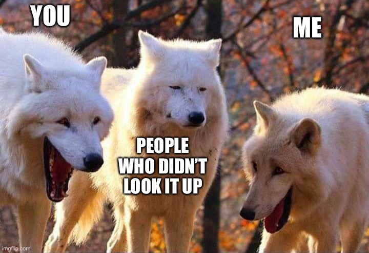 Laughing wolf | YOU; ME; PEOPLE WHO DIDN’T LOOK IT UP | image tagged in laughing wolf | made w/ Imgflip meme maker