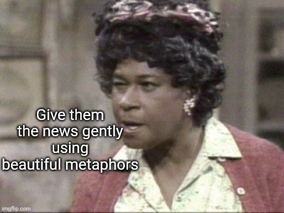 Aunt Ester Lectures | Give them the news gently using beautiful metaphors | image tagged in aunt ester lectures | made w/ Imgflip meme maker