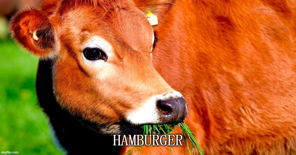 HAMBURGER | made w/ Imgflip meme maker
