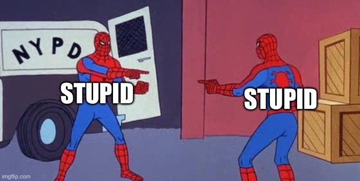 Spider Man Double | STUPID STUPID | image tagged in spider man double | made w/ Imgflip meme maker