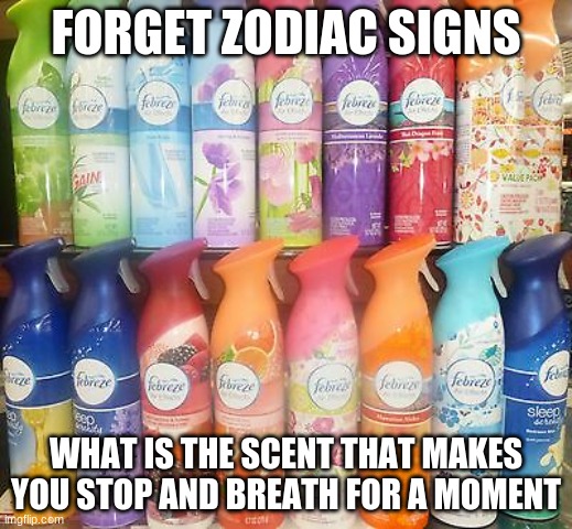 What is your fav? | FORGET ZODIAC SIGNS; WHAT IS THE SCENT THAT MAKES YOU STOP AND BREATH FOR A MOMENT | image tagged in memes,polls,question,happy,funny,dank memes | made w/ Imgflip meme maker