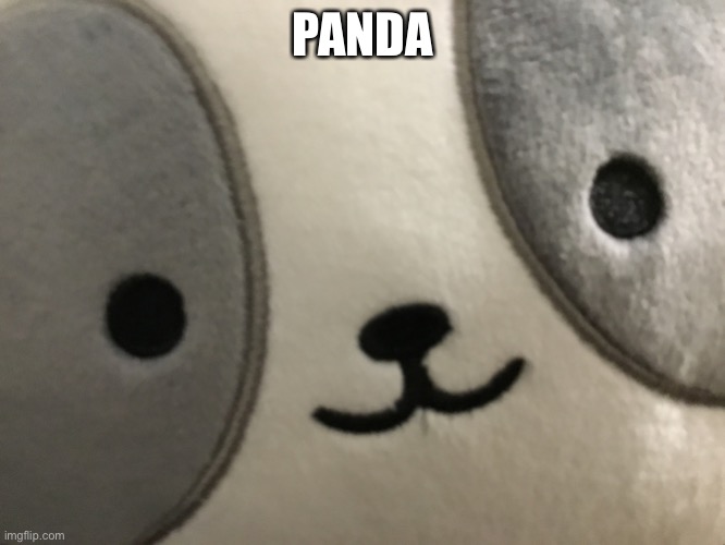 Panda | PANDA | image tagged in meow | made w/ Imgflip meme maker