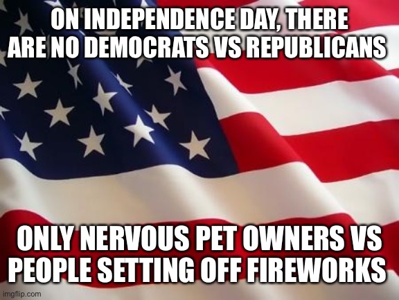 Ugh. Stop with the fireworks already | ON INDEPENDENCE DAY, THERE ARE NO DEMOCRATS VS REPUBLICANS; ONLY NERVOUS PET OWNERS VS PEOPLE SETTING OFF FIREWORKS | image tagged in american flag | made w/ Imgflip meme maker