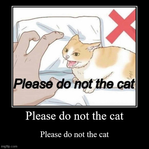 Please do not the cat | image tagged in please do not the cat | made w/ Imgflip demotivational maker
