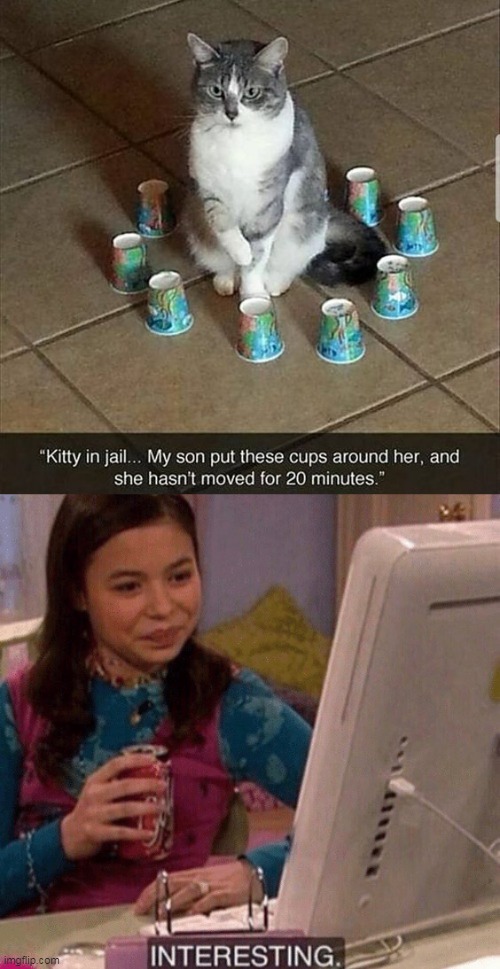 image tagged in icarly interesting,cat,jail,cups,1/3 hour,standing still | made w/ Imgflip meme maker