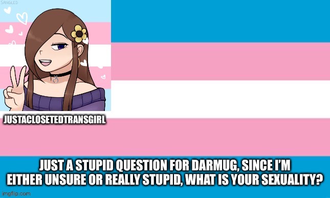 JustAClosetedTransGirl Announcement Board | JUST A STUPID QUESTION FOR DARMUG, SINCE I’M EITHER UNSURE OR REALLY STUPID, WHAT IS YOUR SEXUALITY? | image tagged in justaclosetedtransgirl announcement board,serious,sexuality | made w/ Imgflip meme maker