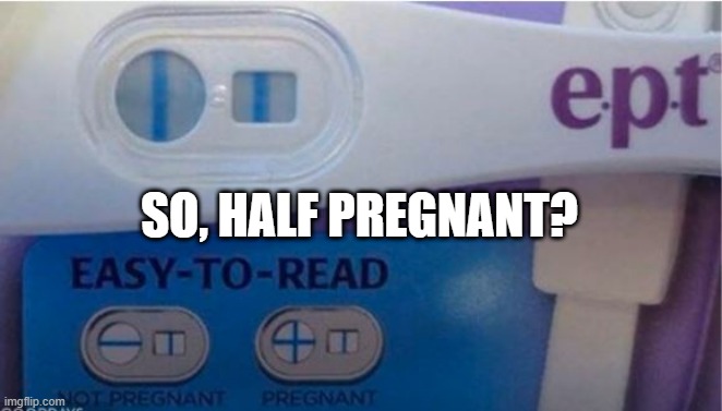 Inconclusive | SO, HALF PREGNANT? | image tagged in you had one job | made w/ Imgflip meme maker