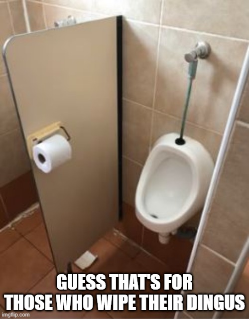 You Wipe All the Time | GUESS THAT'S FOR THOSE WHO WIPE THEIR DINGUS | image tagged in you had | made w/ Imgflip meme maker