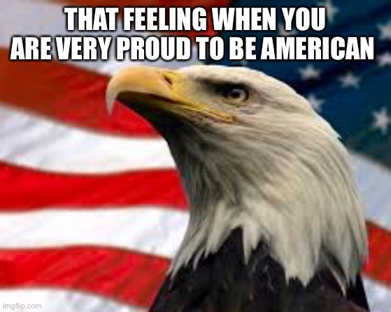 Murica | THAT FEELING WHEN YOU ARE VERY PROUD TO BE AMERICAN | image tagged in murica patriotic eagle | made w/ Imgflip meme maker