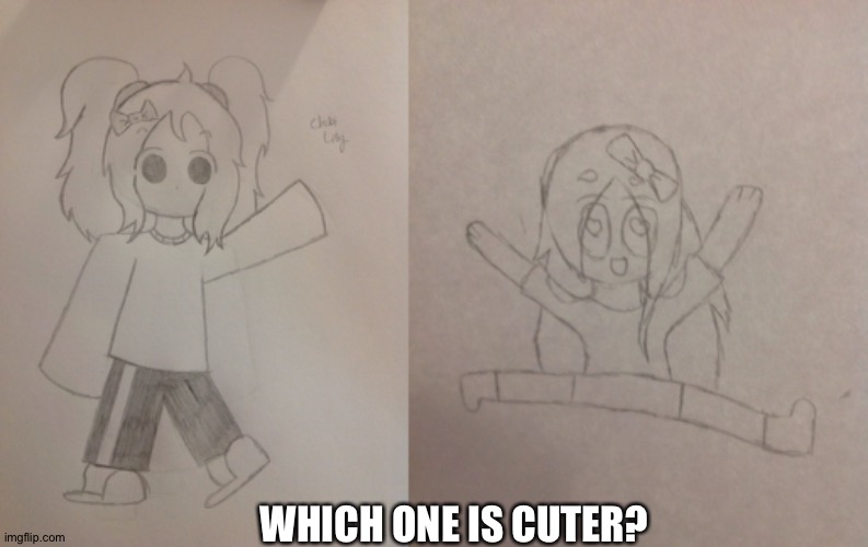 The one on the left is mine the other one is Aria's | WHICH ONE IS CUTER? | made w/ Imgflip meme maker