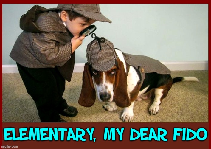 ELEMENTARY, MY DEAR FIDO | made w/ Imgflip meme maker