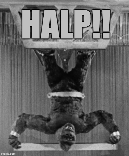 Help me - Kong | HALP!! | image tagged in help me,help,king kong,kong | made w/ Imgflip meme maker