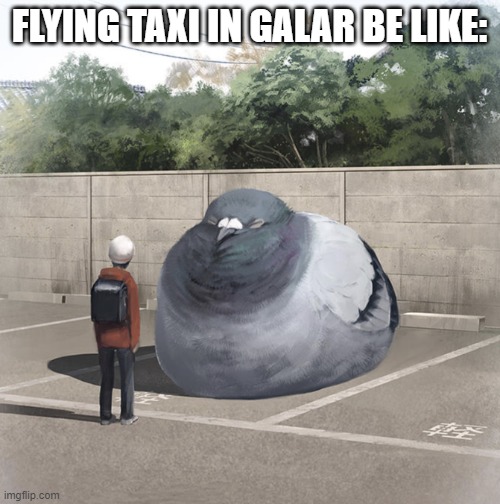 oof | FLYING TAXI IN GALAR BE LIKE: | image tagged in beeg birb | made w/ Imgflip meme maker