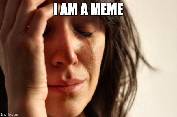 First World Problems Meme | I AM A MEME | image tagged in memes,first world problems | made w/ Imgflip meme maker