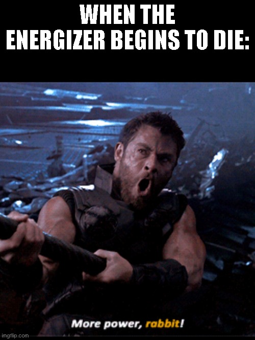 More power rabbit |  WHEN THE ENERGIZER BEGINS TO DIE: | image tagged in more power rabbit | made w/ Imgflip meme maker