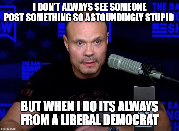 I DON'T ALWAYS SEE SOMEONE POST SOMETHING SO ASTOUNDINGLY STUPID; BUT WHEN I DO ITS ALWAYS FROM A LIBERAL DEMOCRAT | made w/ Imgflip meme maker
