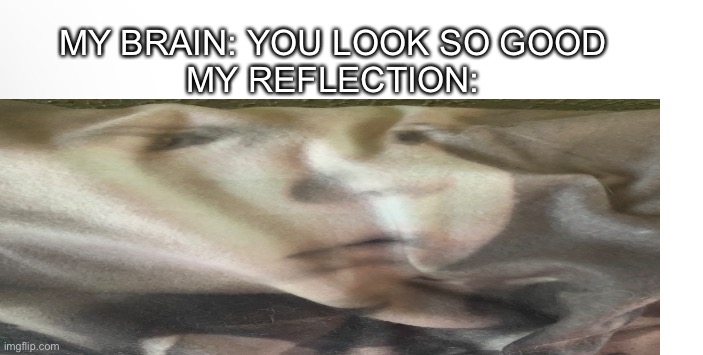 I’m ugly | MY BRAIN: YOU LOOK SO GOOD
MY REFLECTION: | image tagged in ugly,memes,my brain,im ugly | made w/ Imgflip meme maker