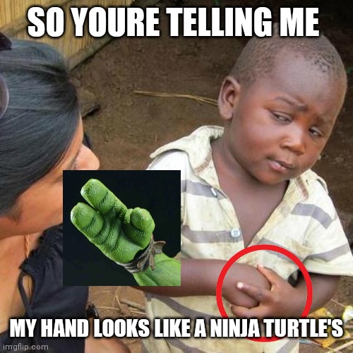 Third World Skeptical Kid | SO YOURE TELLING ME; MY HAND LOOKS LIKE A NINJA TURTLE'S | image tagged in memes,third world skeptical kid | made w/ Imgflip meme maker