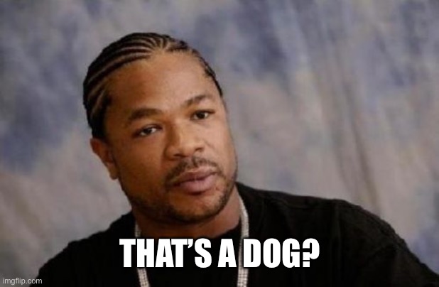 Serious Xzibit Meme | THAT’S A DOG? | image tagged in memes,serious xzibit | made w/ Imgflip meme maker