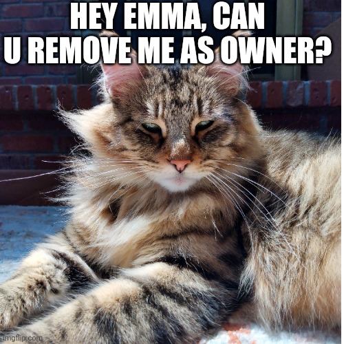 Please? No offense | HEY EMMA, CAN U REMOVE ME AS OWNER? | image tagged in ask | made w/ Imgflip meme maker
