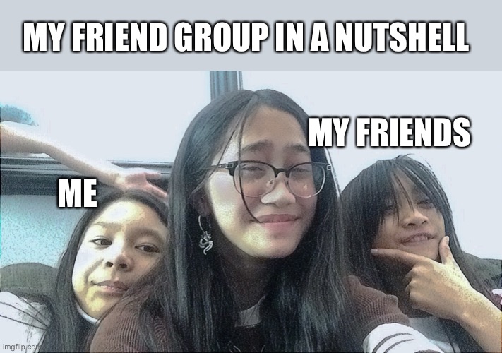Idk what to put first meme | MY FRIEND GROUP IN A NUTSHELL; MY FRIENDS; ME | image tagged in memes,funny,friendship | made w/ Imgflip meme maker