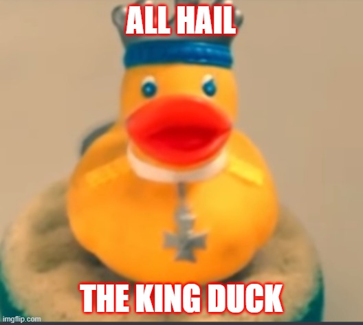 duck | ALL HAIL; THE KING DUCK | image tagged in hail,duck,animals | made w/ Imgflip meme maker