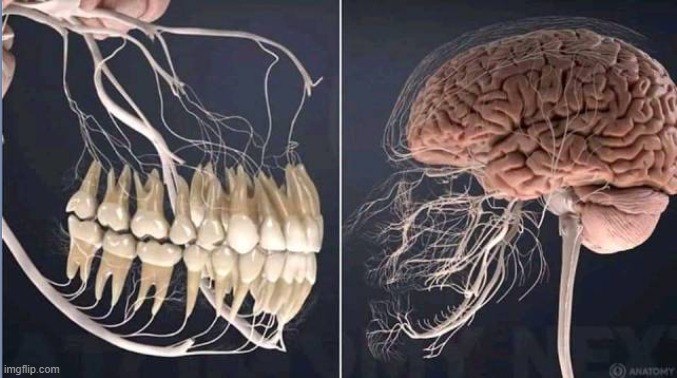 Teeth nerves | made w/ Imgflip meme maker