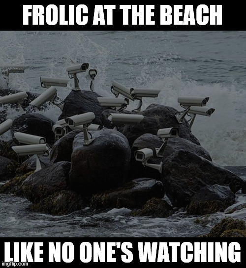 FROLIC AT THE BEACH; LIKE NO ONE'S WATCHING | made w/ Imgflip meme maker