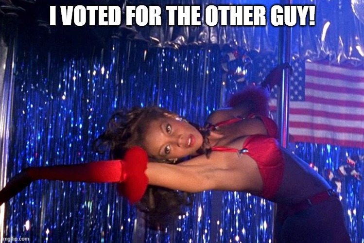 I VOTED FOR THE OTHER GUY! | made w/ Imgflip meme maker