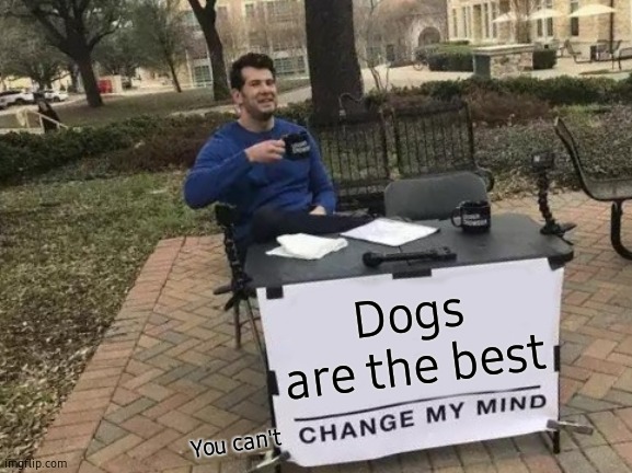 Change My Mind | Dogs are the best; You can't | image tagged in memes,change my mind | made w/ Imgflip meme maker