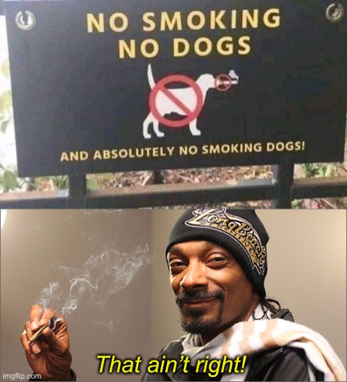 Smoking Snoop | That ain’t right! | image tagged in funny memes,snoop dogg | made w/ Imgflip meme maker