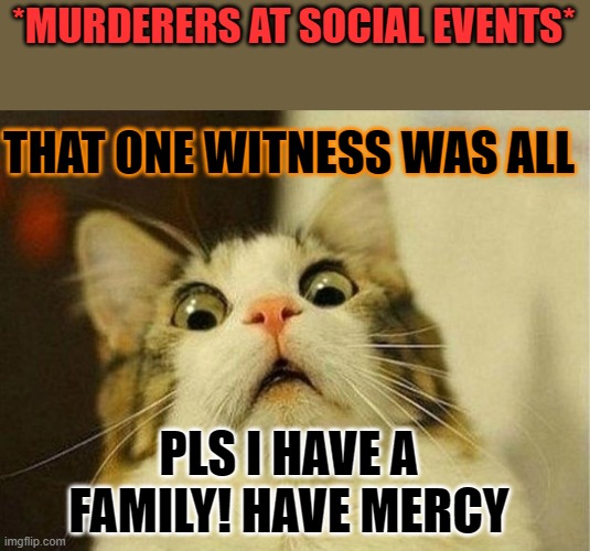 Scared Cat Meme | *MURDERERS AT SOCIAL EVENTS*; THAT ONE WITNESS WAS ALL; PLS I HAVE A FAMILY! HAVE MERCY | image tagged in memes,scared cat | made w/ Imgflip meme maker