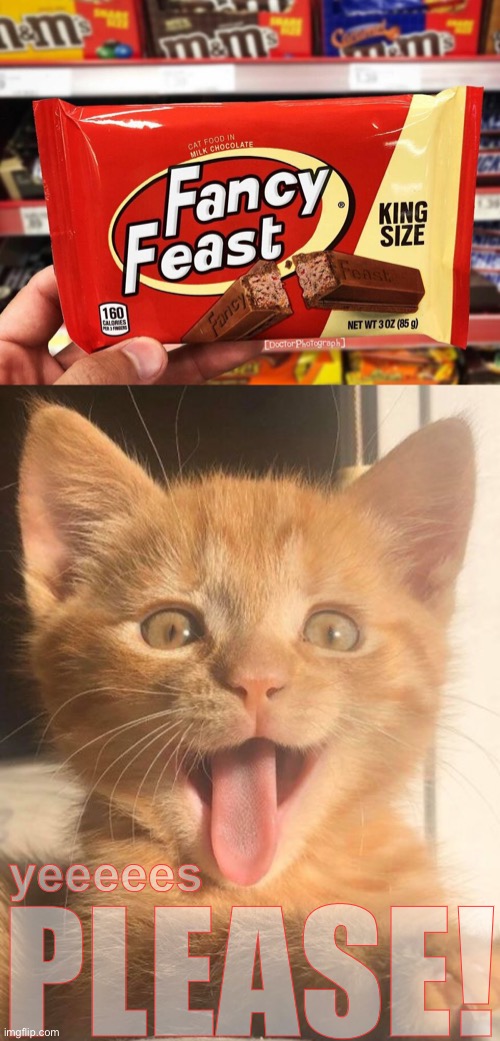 Break Me off a piece of that Kitty Kat bar! | yeeeees; PLEASE! | image tagged in funny cat memes | made w/ Imgflip meme maker