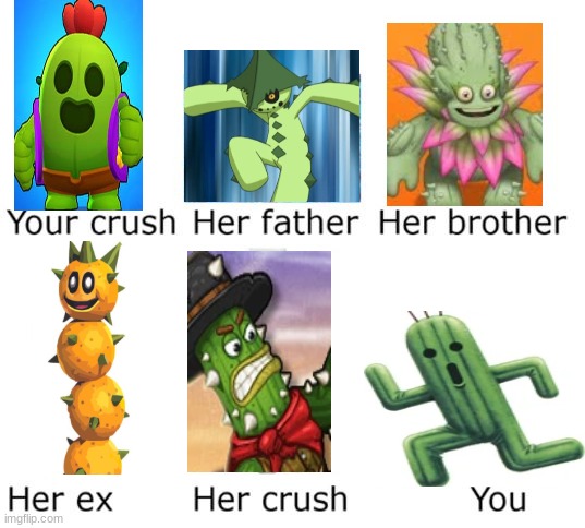 Cactus stuff | image tagged in your crush | made w/ Imgflip meme maker