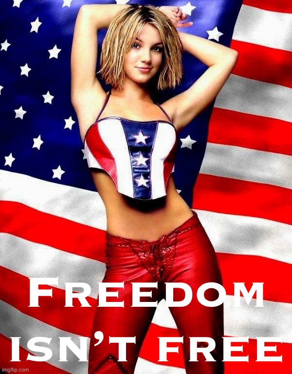 Sometimes we have to fight for it. Sometimes we have to raise our voices. #FreeBritney | Freedom isn’t free | image tagged in britney spears patriotic,free britney,freebritney,leave britney alone,freedom isnt free,freedom | made w/ Imgflip meme maker