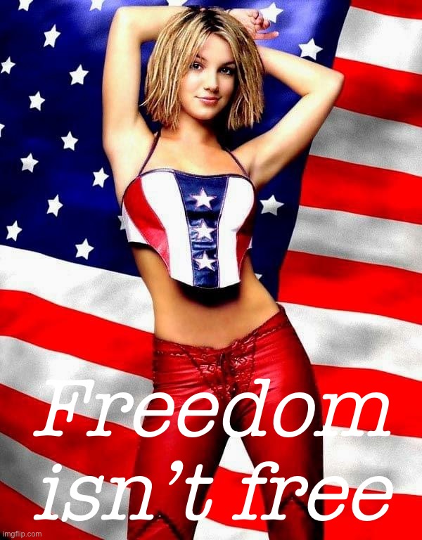 Sometimes we have to fight. | Freedom isn’t free | image tagged in britney spears patriotic | made w/ Imgflip meme maker