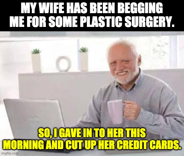 Plastic surgery | MY WIFE HAS BEEN BEGGING ME FOR SOME PLASTIC SURGERY. SO, I GAVE IN TO HER THIS MORNING AND CUT UP HER CREDIT CARDS. | image tagged in harold | made w/ Imgflip meme maker