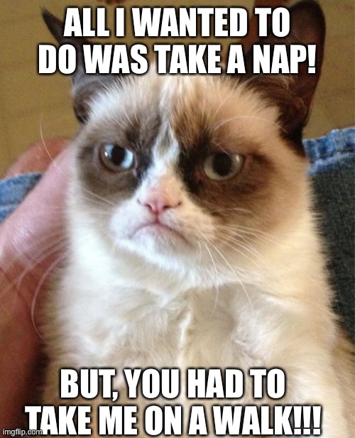 Grumpy Cat Meme | ALL I WANTED TO DO WAS TAKE A NAP! BUT, YOU HAD TO TAKE ME ON A WALK!!! | image tagged in memes,grumpy cat | made w/ Imgflip meme maker