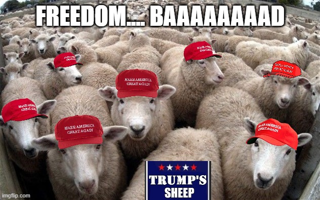 Right Wing Patriots | FREEDOM.... BAAAAAAAAD | image tagged in sheeple,conservatives,freedom,politics,lemmings | made w/ Imgflip meme maker