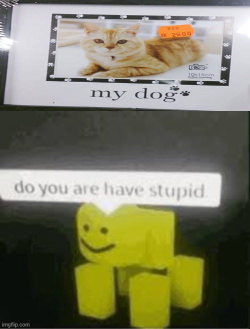 do you are have stupid | image tagged in do you are have stupid,you had one job | made w/ Imgflip meme maker