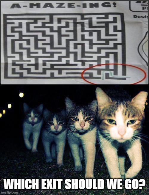 Wrong Neighboorhood Cats Meme | WHICH EXIT SHOULD WE GO? | image tagged in memes,wrong neighboorhood cats,cats,you had one job | made w/ Imgflip meme maker